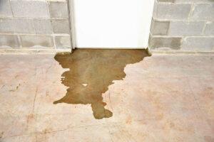 Hidden Dangers of a Wet Basement