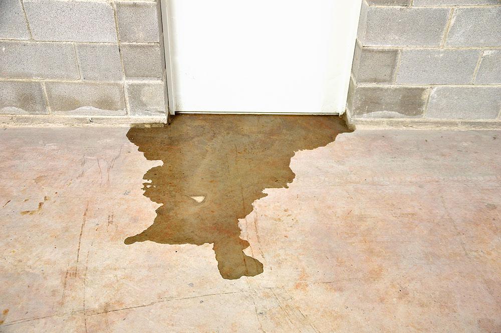 Hidden Dangers of a Wet Basement